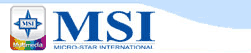 MSI logo23